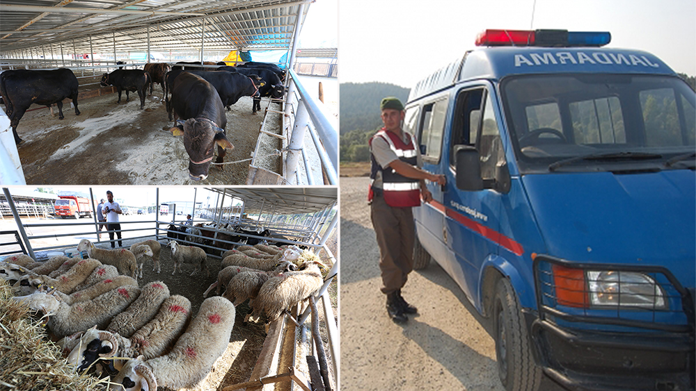 bolu il tarim ve orman mudurlugu